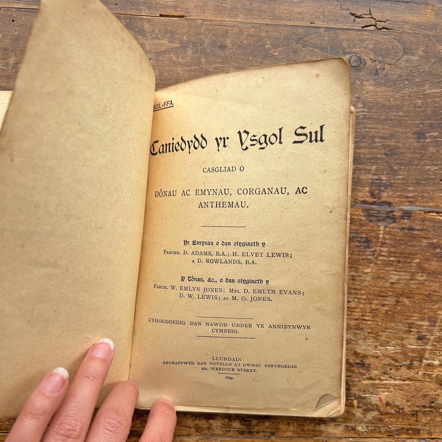 Caniedydd yr Ysgol Sul - Welsh Songs, Hymns, Organs & Anthems 1899 (Preloved)