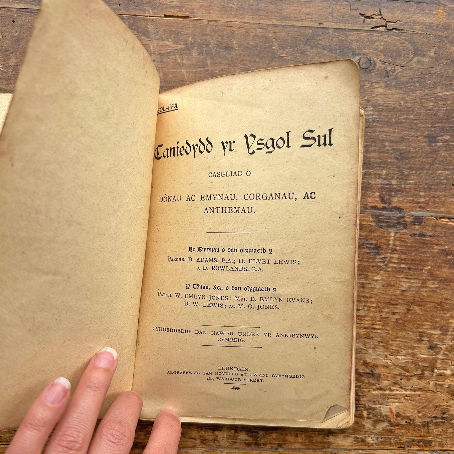 Caniedydd yr Ysgol Sul - Welsh Songs, Hymns, Organs & Anthems 1899 (Preloved)