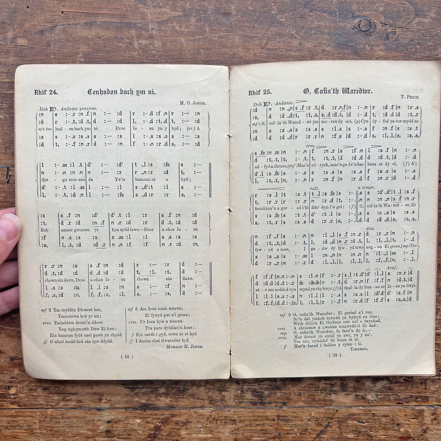 Caniedydd yr Ysgol Sul - Welsh Songs, Hymns, Organs & Anthems 1899 (Preloved)