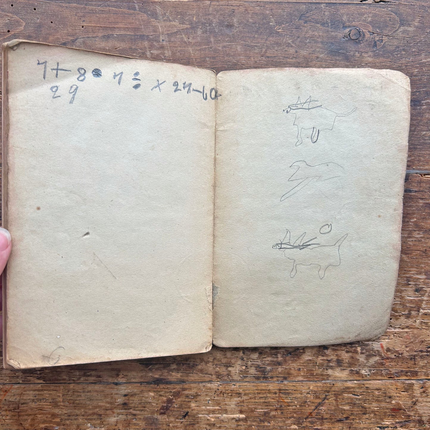 Caniedydd yr Ysgol Sul - Welsh Songs, Hymns, Organs & Anthems 1899 (Preloved)