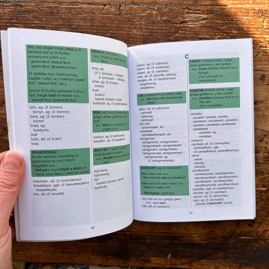 Canllawiau Iaith a Chymorth Sillafu - J. Elwyn Hughes - 2004 (Preloved)