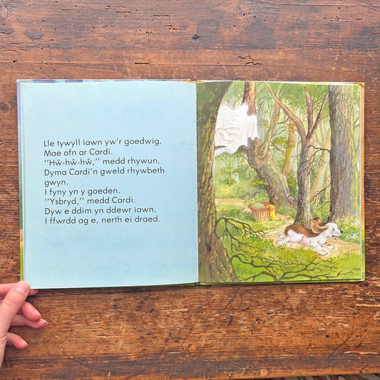 Cardi'r Ci Yn Gweld Ysbryd - Vintage Welsh Book 1986 (Preloved)