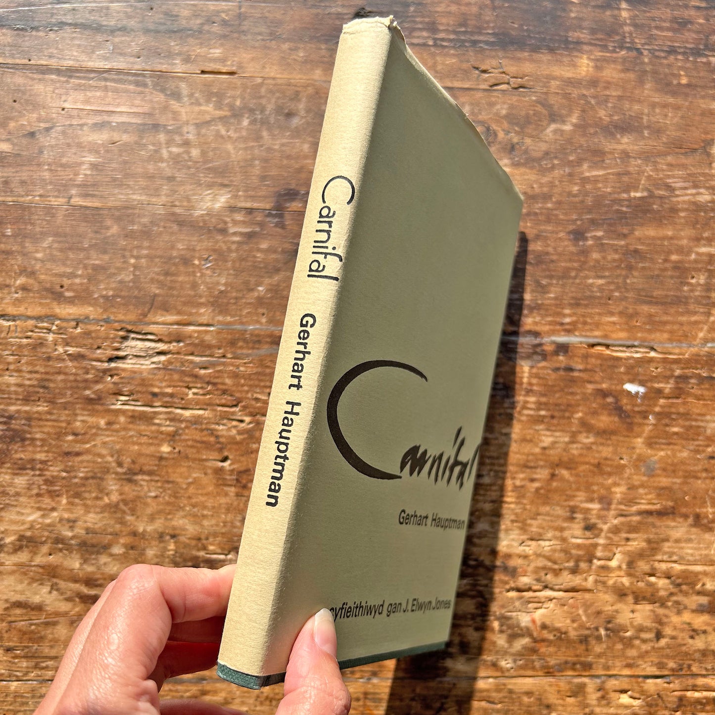 Carnifal - Gerhart Hauptmann (Preloved)