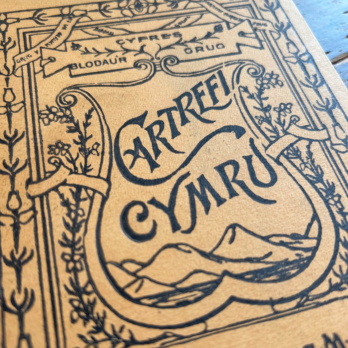 Cartrefi Cymru - Antique Welsh Book 1896 (Preloved)