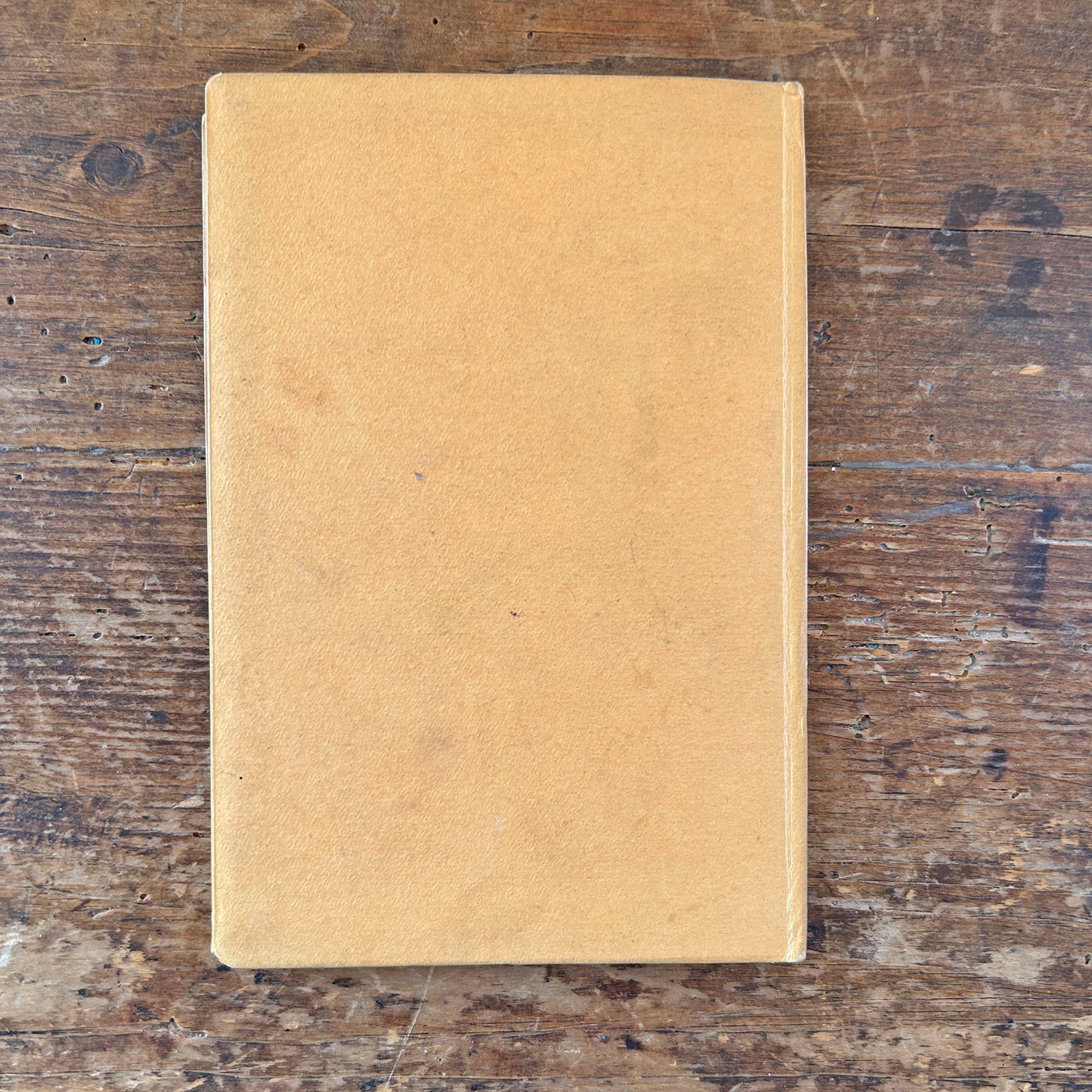 Cartrefi Cymru - Antique Welsh Book 1896 (Preloved)