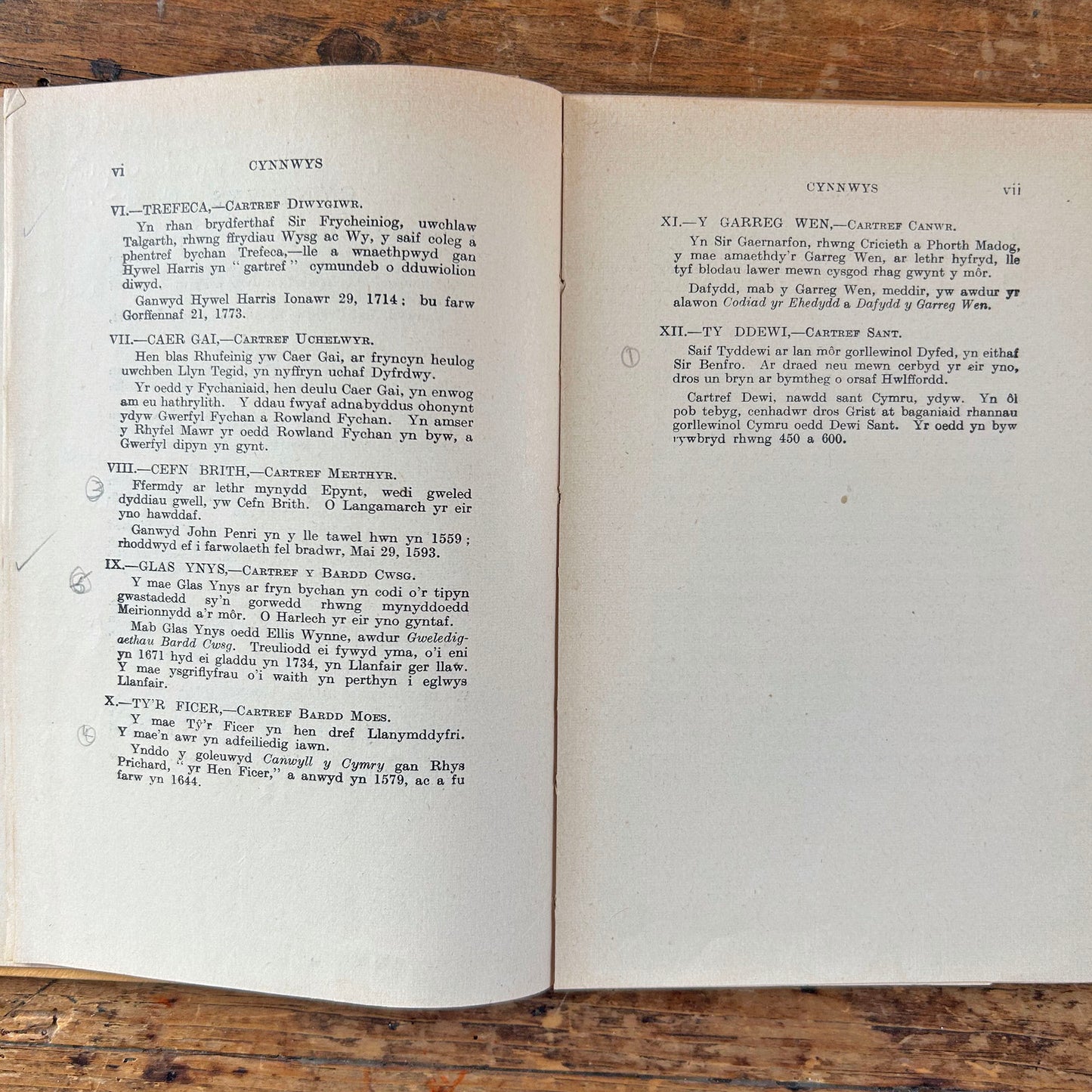 Cartrefi Cymru - Antique Welsh Book 1896 (Preloved)