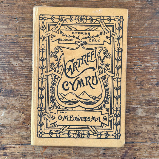 Cartrefi Cymru - Antique Welsh Book 1896 (Preloved)