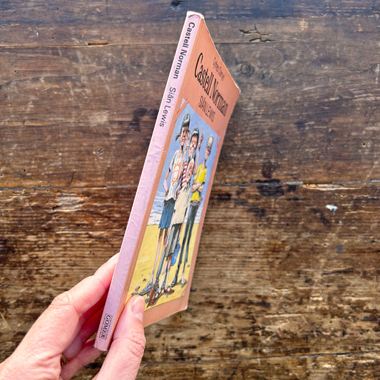 Castell Norman - Sian Lewis - 1992 (Preloved)