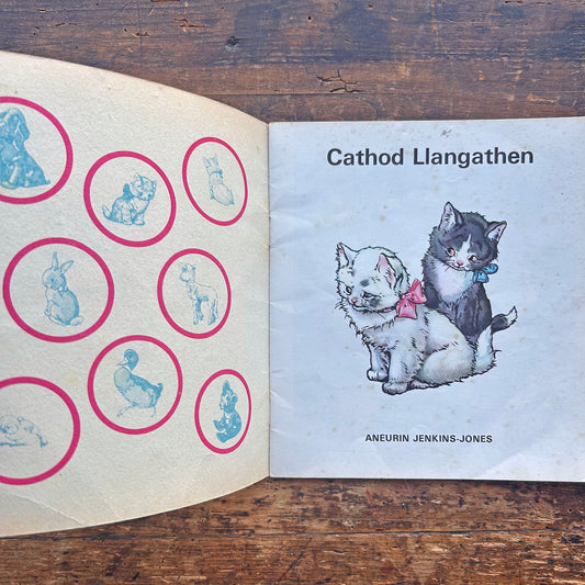 Cathod Llangathen - Cyfres y Frân Wen - 20 (Preloved)