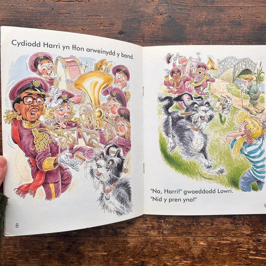 Cer i'w nôl e, Harri Parri! 1996 (Preloved)