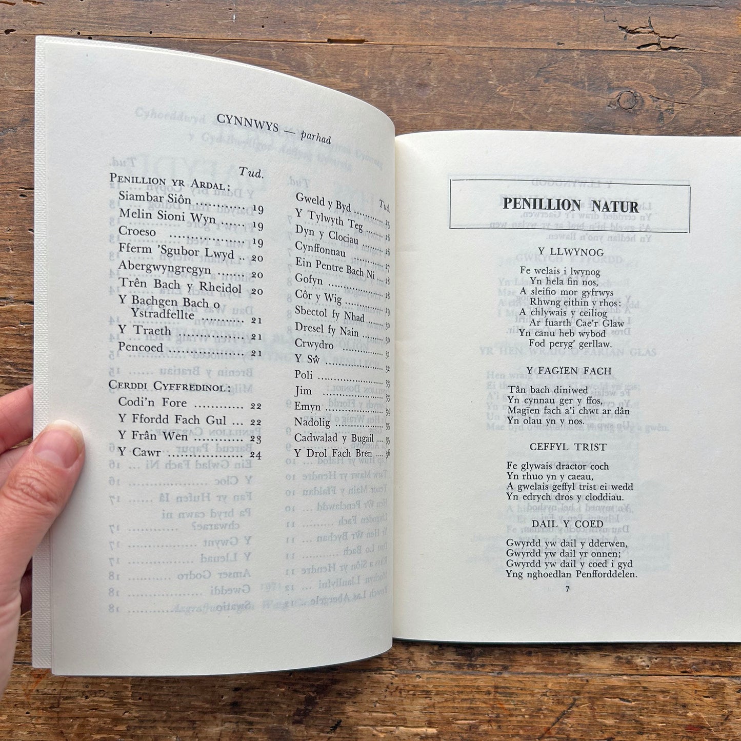 Cerddi Rhys a Dafydd - Dewi Jones - Children's Poetry 1971 (Preloved)