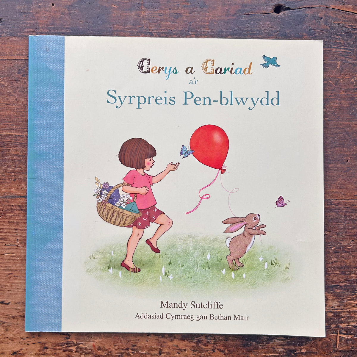 Cerys a Cariad a'r Syrpreis Pen-Blwydd 2013 (Preloved)