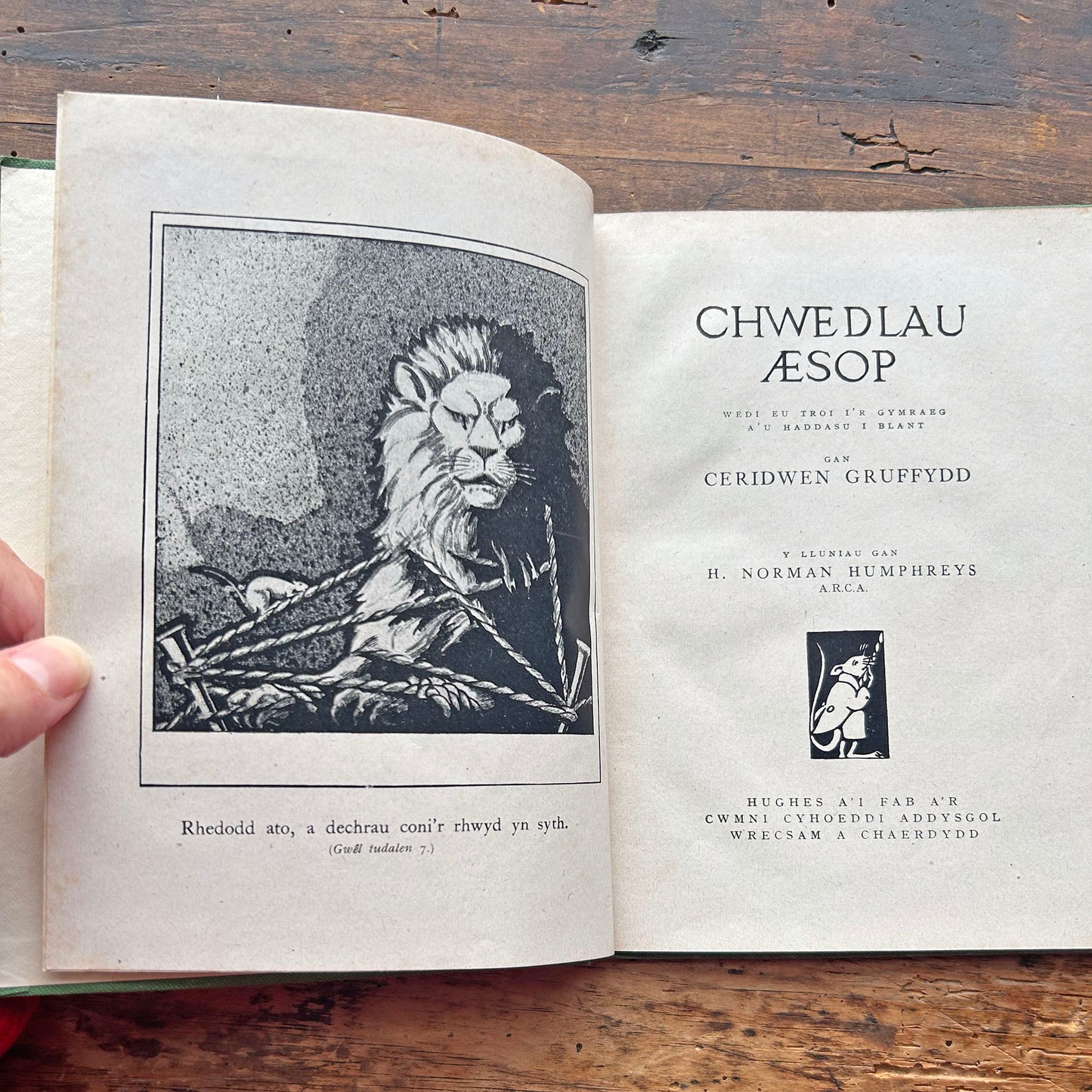 Chwedlau Aesop - Ceridwen Gruffydd - Aesop Fables in Welsh (Preloved)