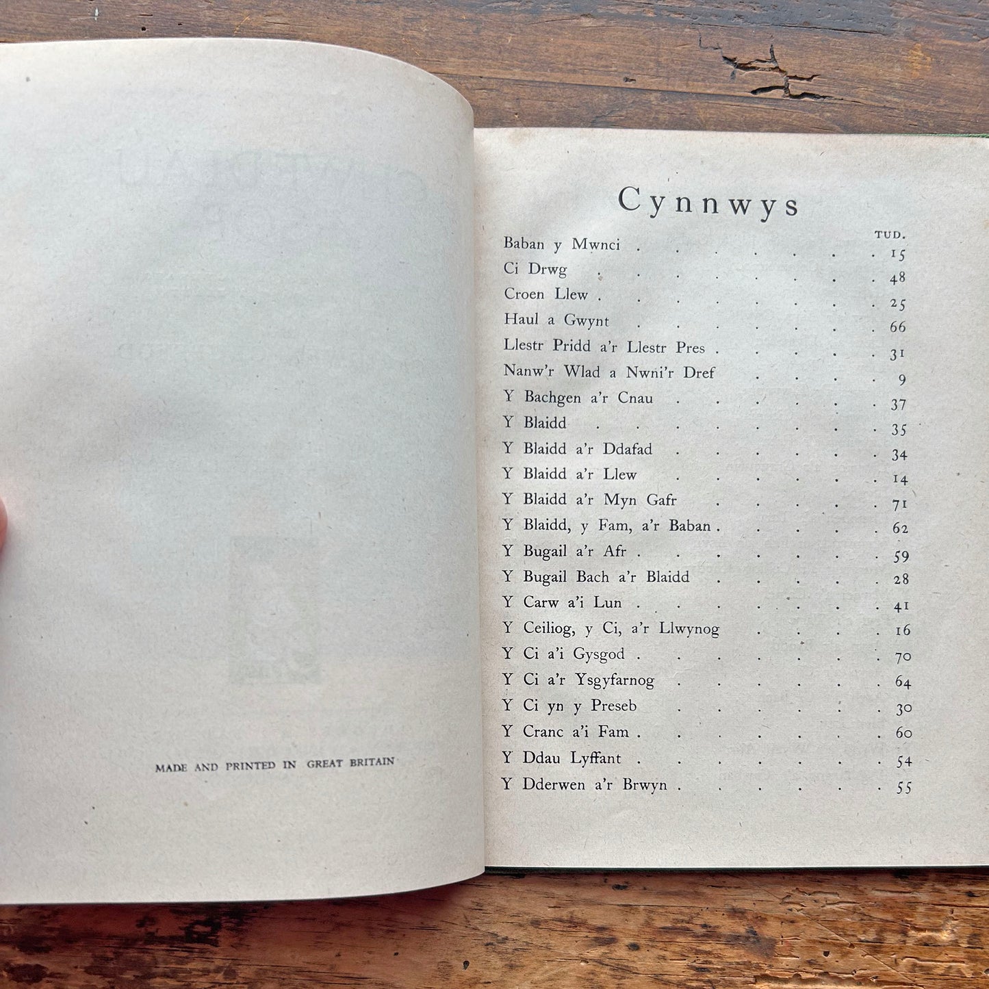 Chwedlau Aesop - Ceridwen Gruffydd - Aesop Fables in Welsh (Preloved)