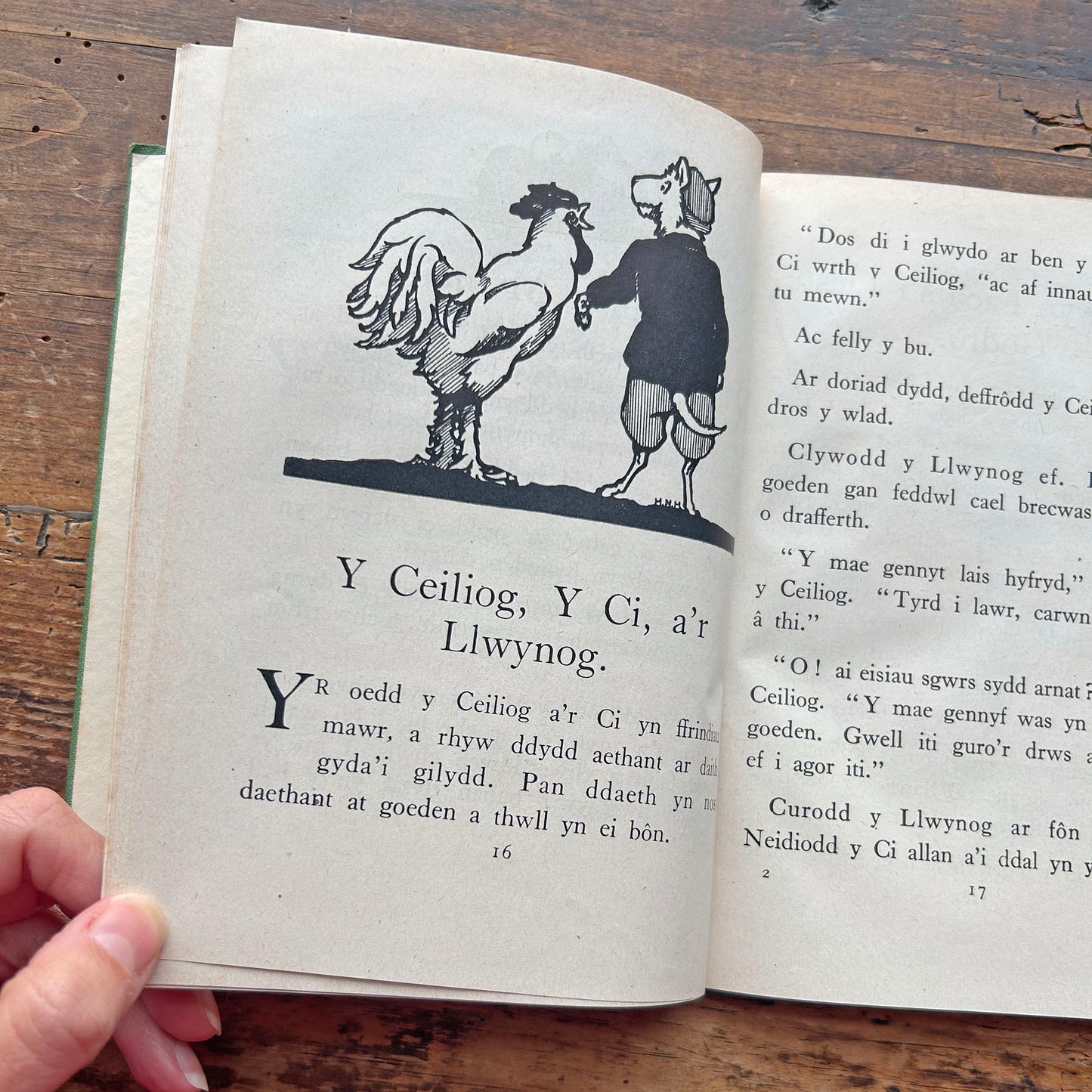 Chwedlau Aesop - Ceridwen Gruffydd - Aesop Fables in Welsh (Preloved)
