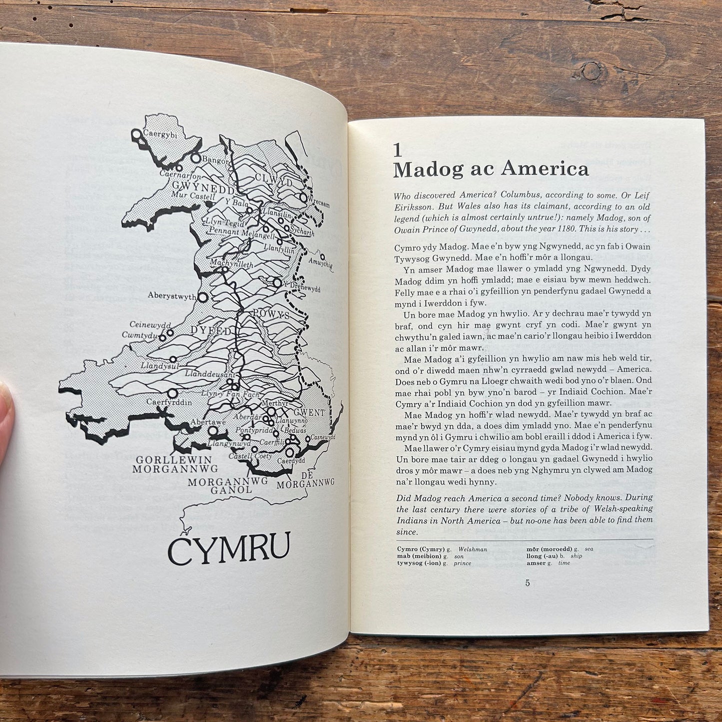 Chwedlau Cymru i Ddysgwyr - 10 Welsh Legends (Preloved)