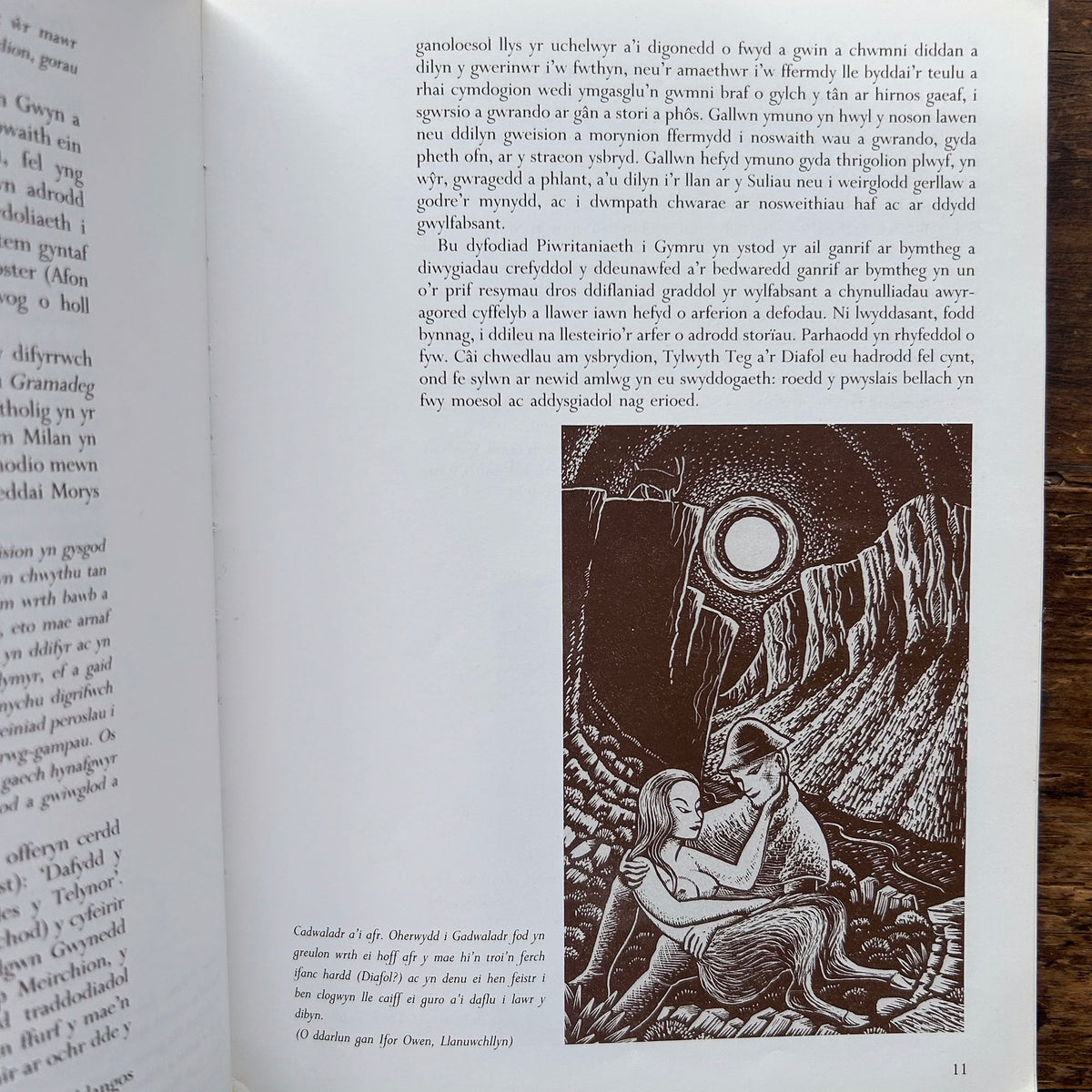 Chwedlau Gwerin Cymru / Welsh Folk Tales 1992 (Preloved)