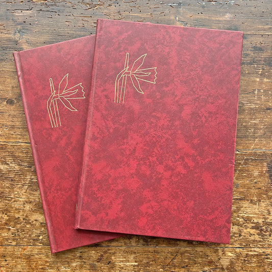 Chwilota / Chwilio - Cyfrol 1 & 2 - D. Gwyn Jones (Preloved)