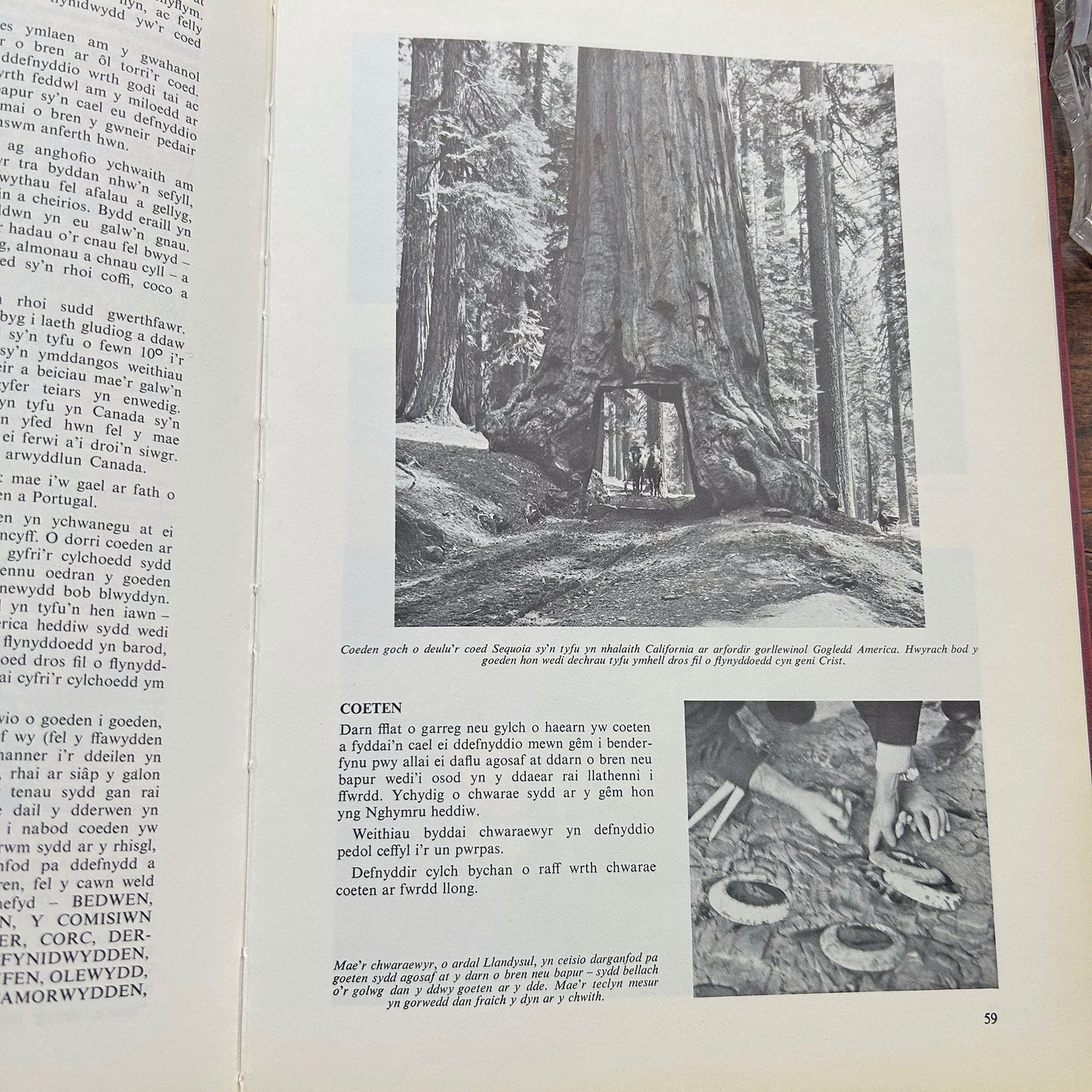 Chwilota / Search - Cyfrol 1 & 2 - D. Gwyn Jones (Preloved)