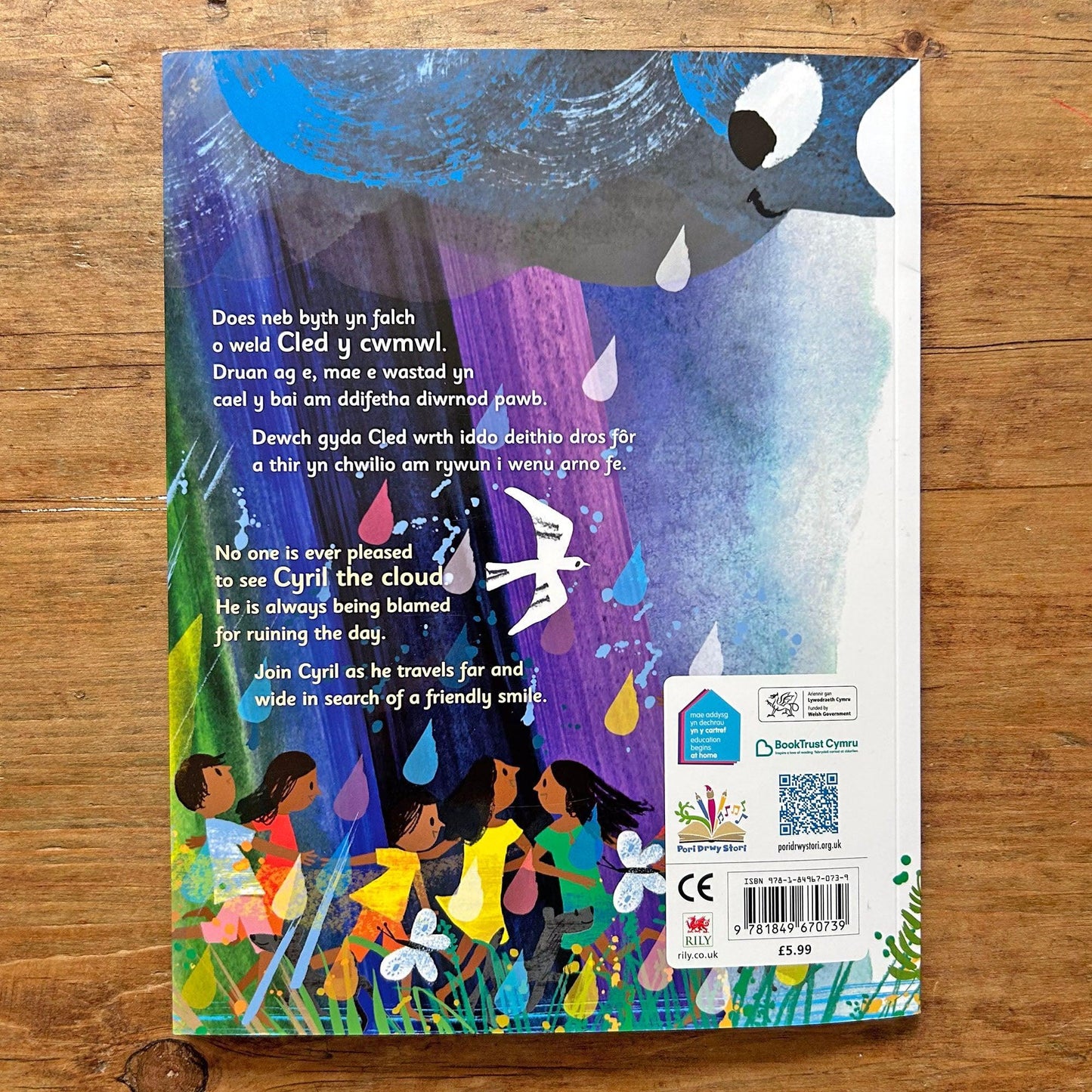 Cled y Cwmwl Unig / Cyril The Lonely Cloud (Preloved / Like New)