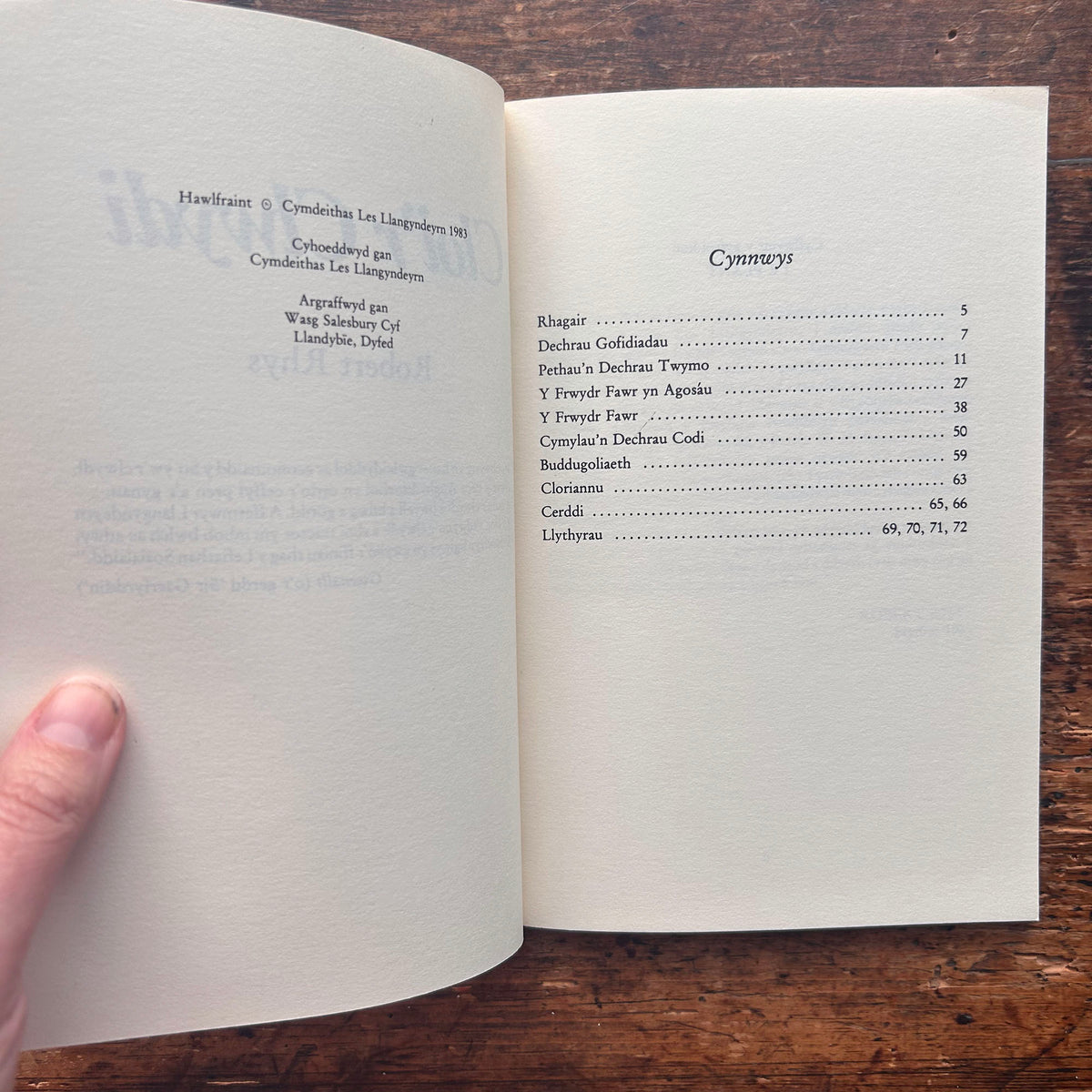 Cloi'r Clwydi - Robert Rhys - 1983 (Preloved)