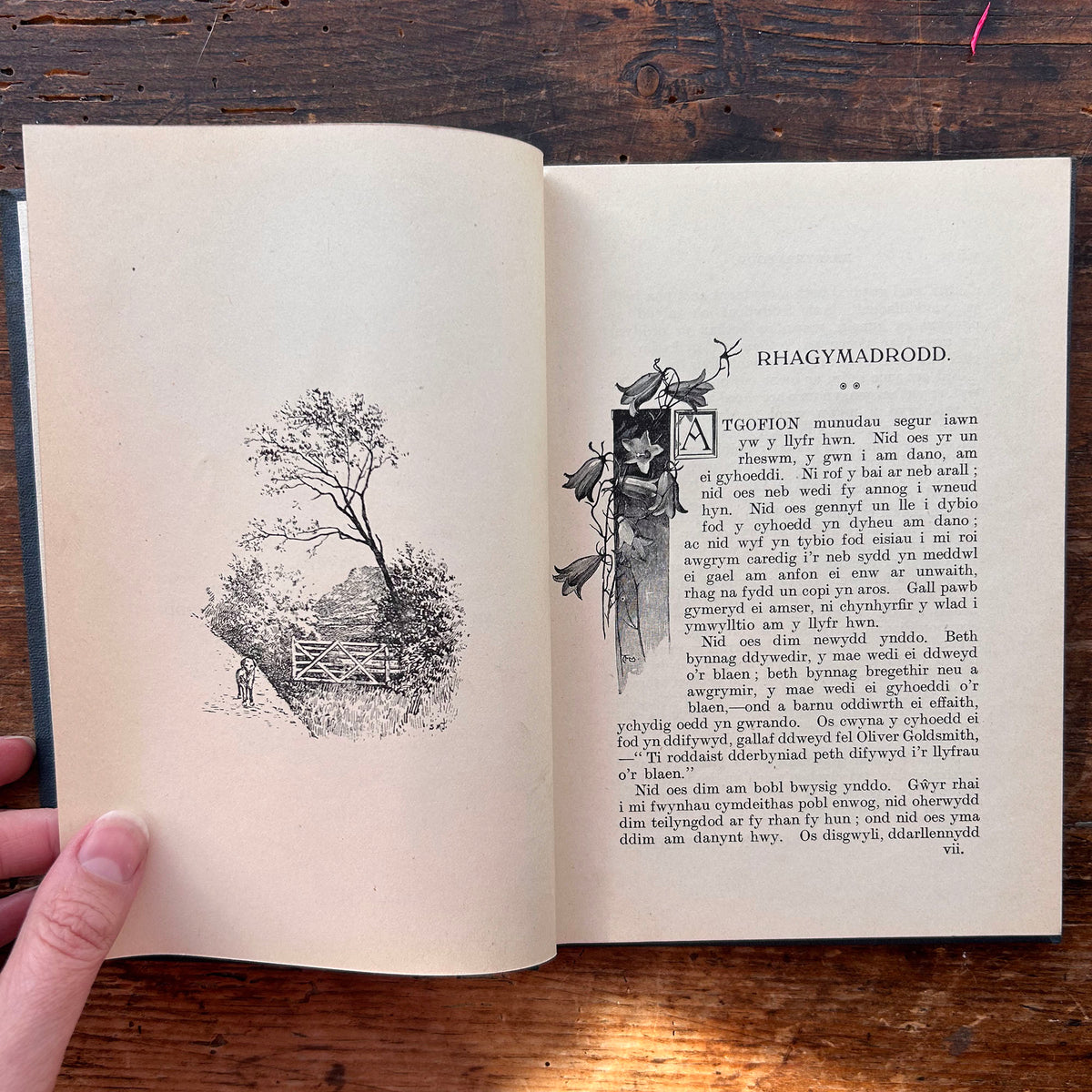 Clych Atgof - Penodau Yn Hanes Fy Addysg - Owen Edwards - 1921 1st edition (Preloved)