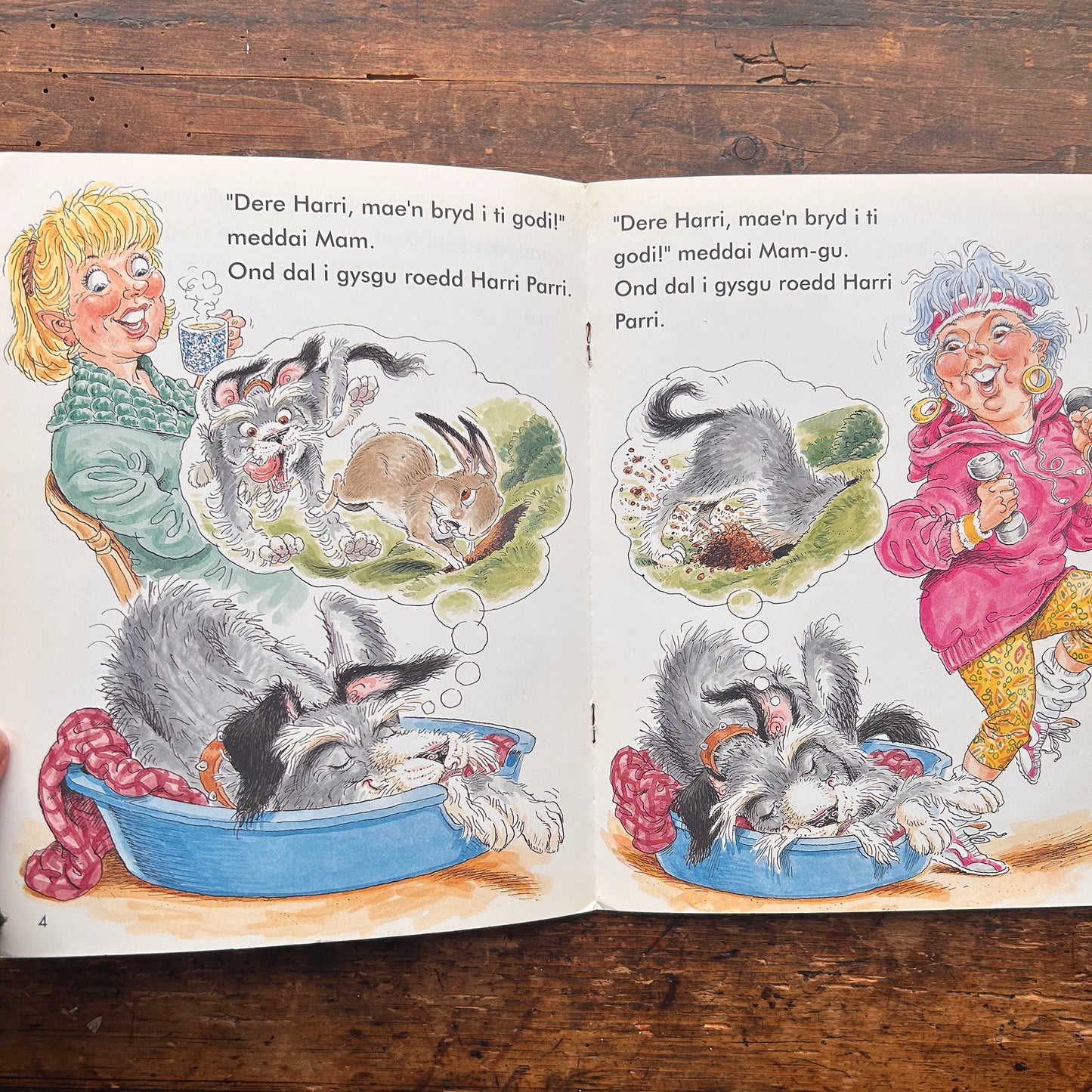 Coda Harri Parri! 1996 (Preloved)