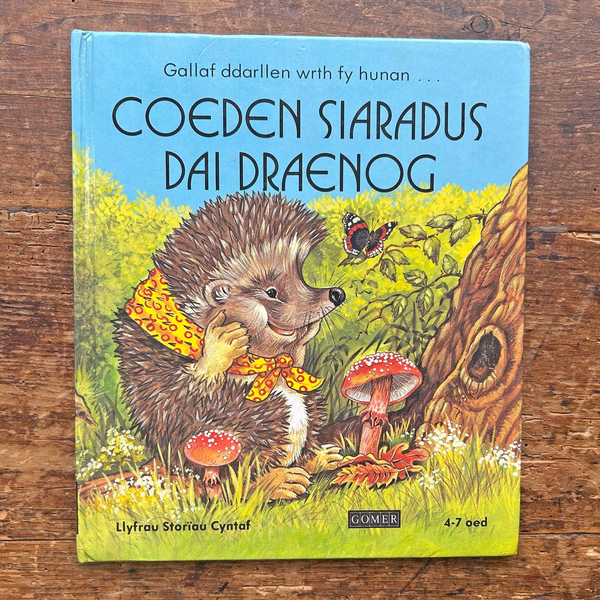 Coeden siaradus Dai Draenog - Vintage Welsh Book 1985 (Preloved)
