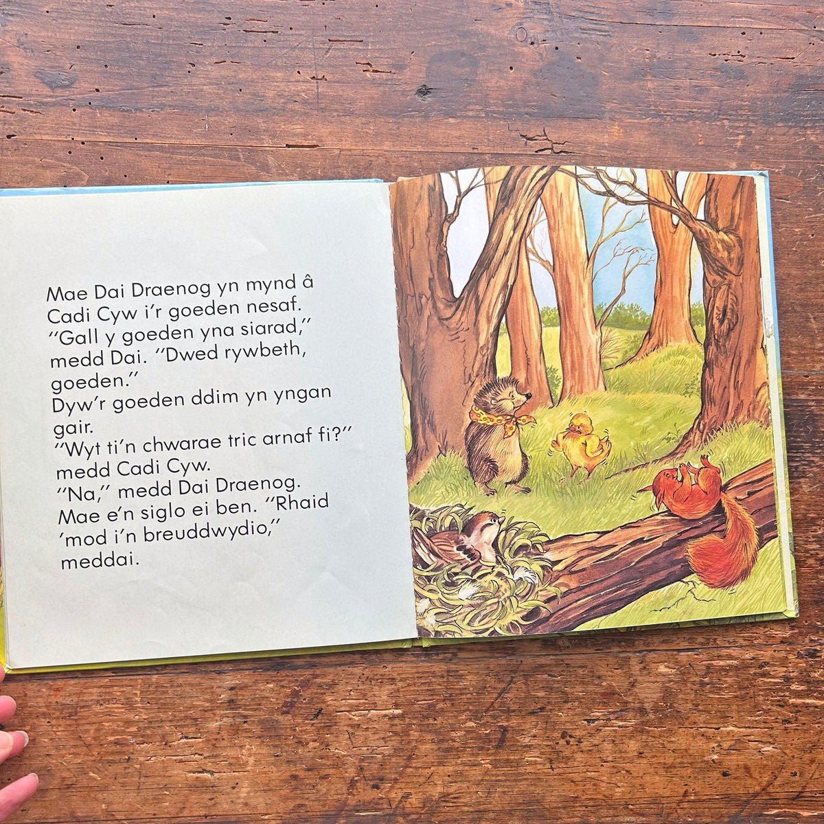 Coeden siaradus Dai Draenog - Vintage Welsh Book 1985 (Preloved)