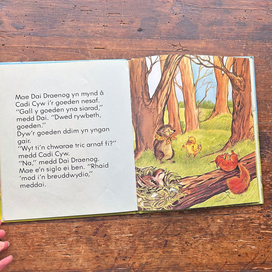 Coeden siaradus Dai Draenog - Vintage Welsh Book 1985 (Preloved)