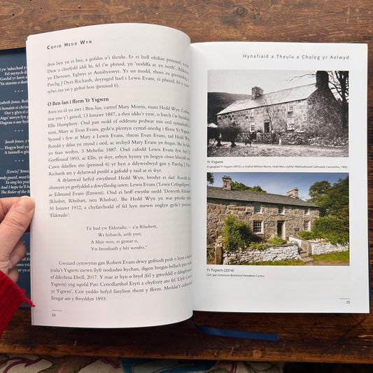 Cofio Hedd Wyn - Robin Gwyndaf (Preloved)