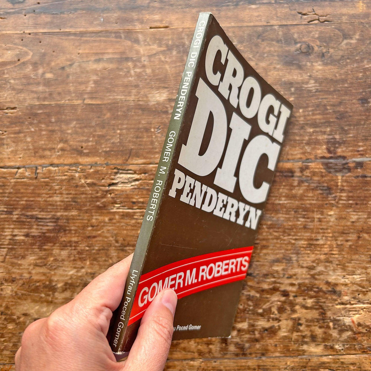 Crogi Dic Penderyn - Gomer M. Roberts 1977 (Preloved)