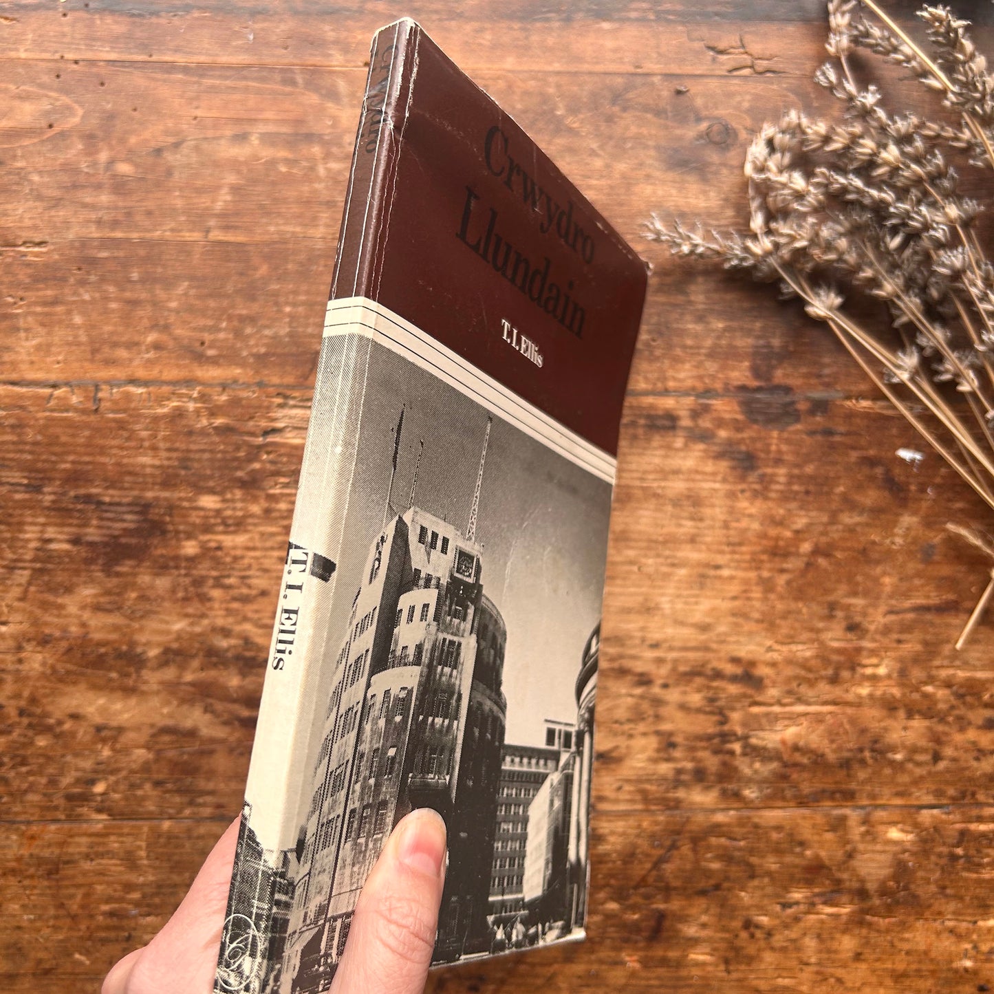 Crwydro Llundain - Wandering / Touring London - 1977 (Preloved)