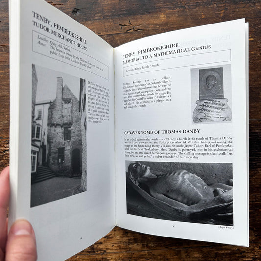 Curiosities of South Wales: A Regional Guide to the Unusual - Edward Gill 1993 (Preloved)