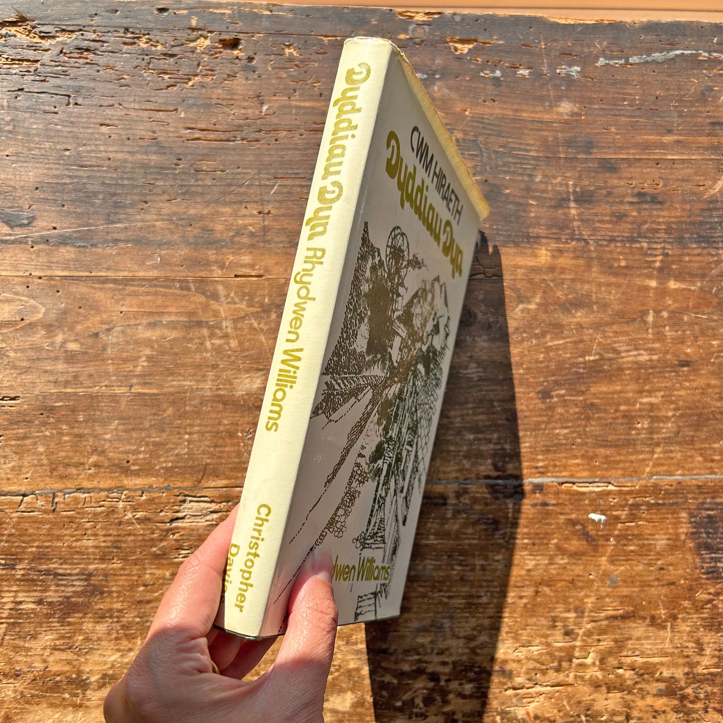 Cwm Hiraeth - Dyddiau Dyn - Rhydwen Williams (Preloved)