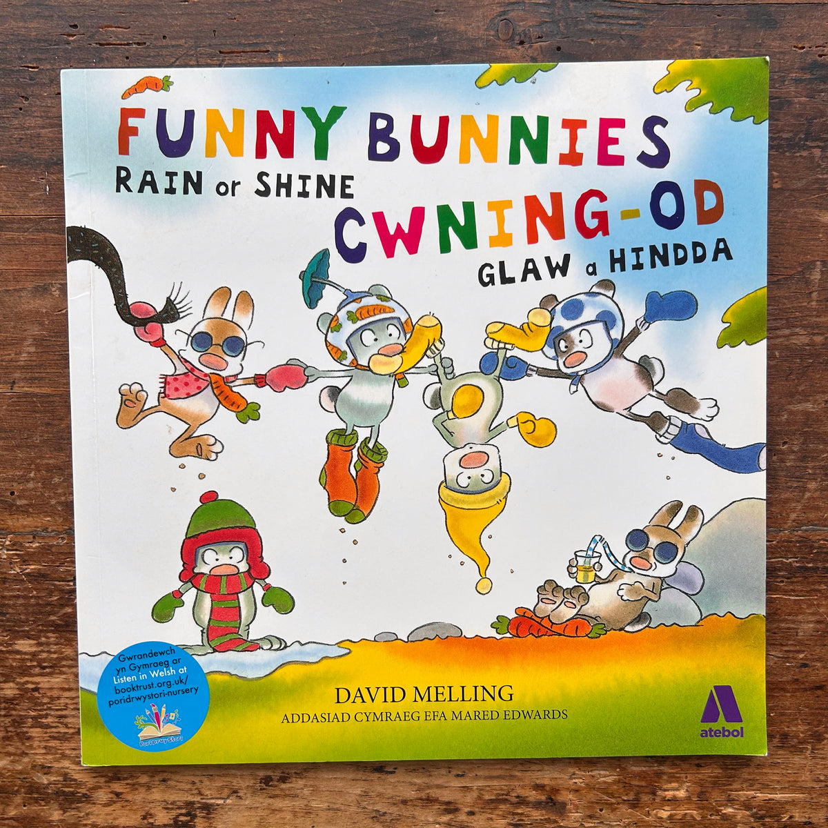 Cwning-Od: Glaw a Hindda / Funny Bunnies Rain or Shine (Preloved)