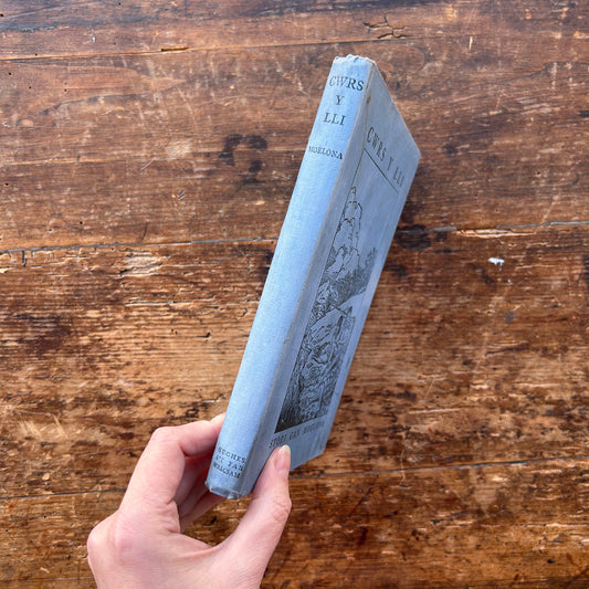 Cwrs y Lli - Moelona - 1927 1st edition (Preloved)