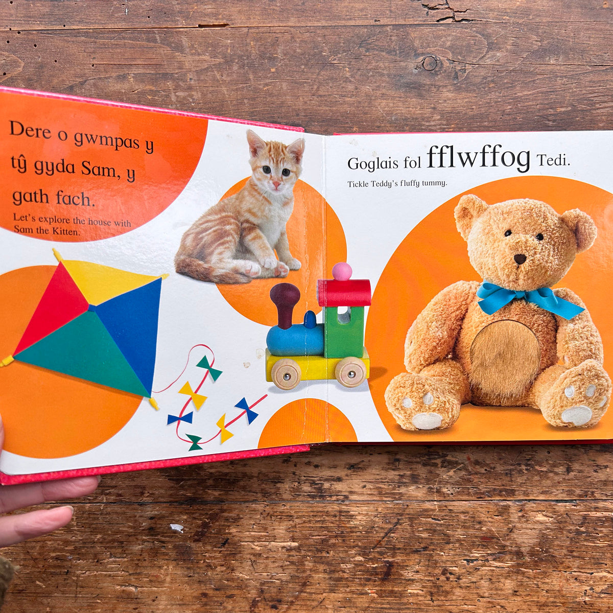 Cyffwrdd a Theimlo - Cartref / Touch and Feel: Home (Preloved)