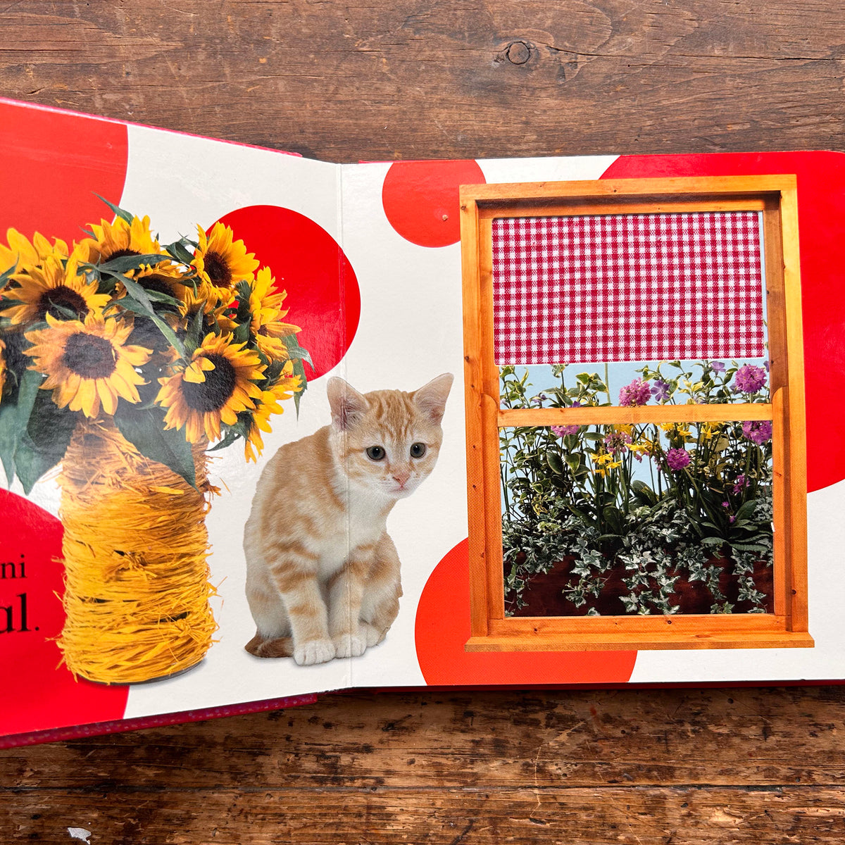 Cyffwrdd a Theimlo - Cartref / Touch and Feel: Home (Preloved)