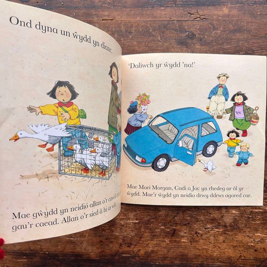 Cyfres Cae Berllan: Diwrnod Marchnad - Heather Amery a Stephen Cartwright - 1989 (Preloved)