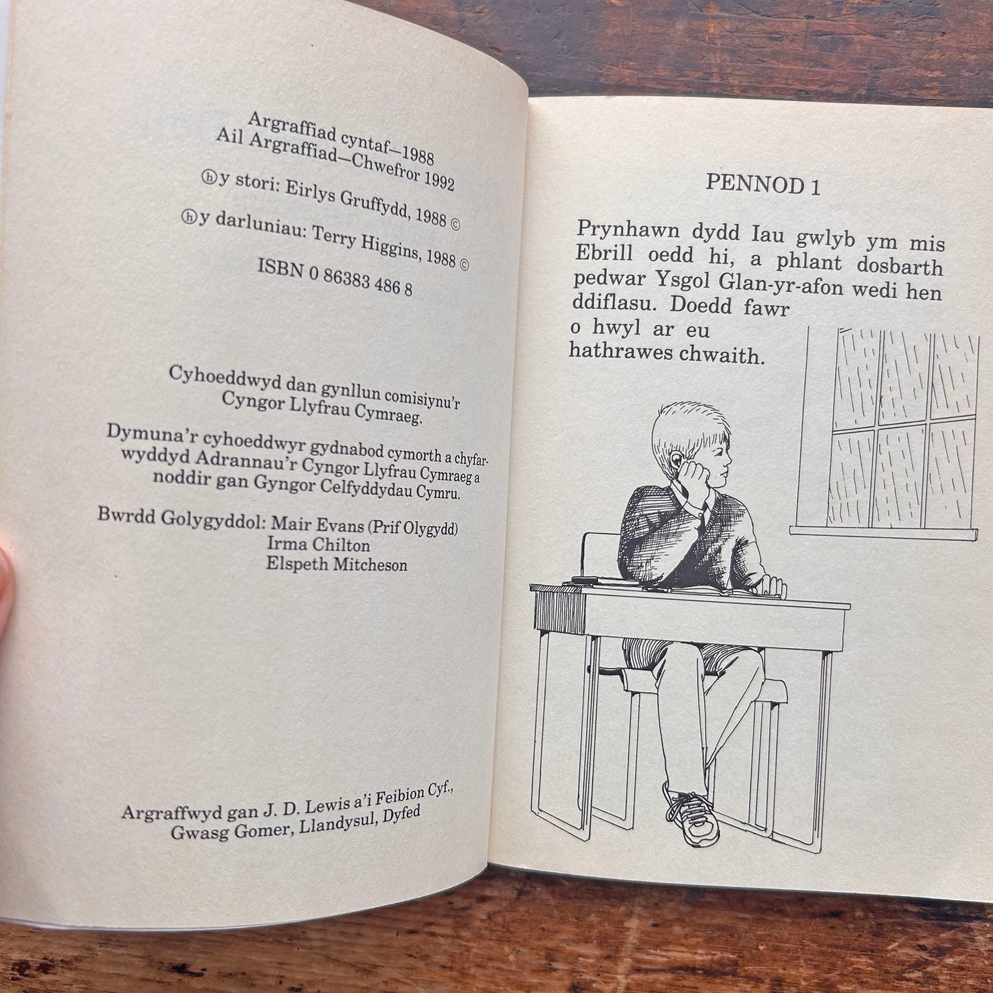 Cyfrinach Afon Ddu - Eirlys Gruffydd (Preloved)