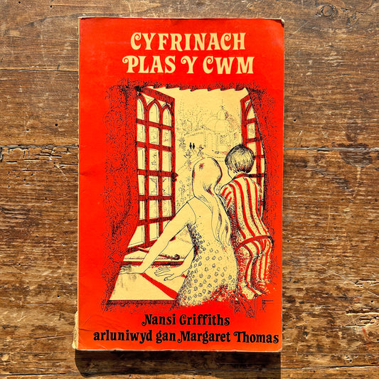 Cyfrinach Plas y Cwm - Nansi Griffiths 1975 (Preloved)