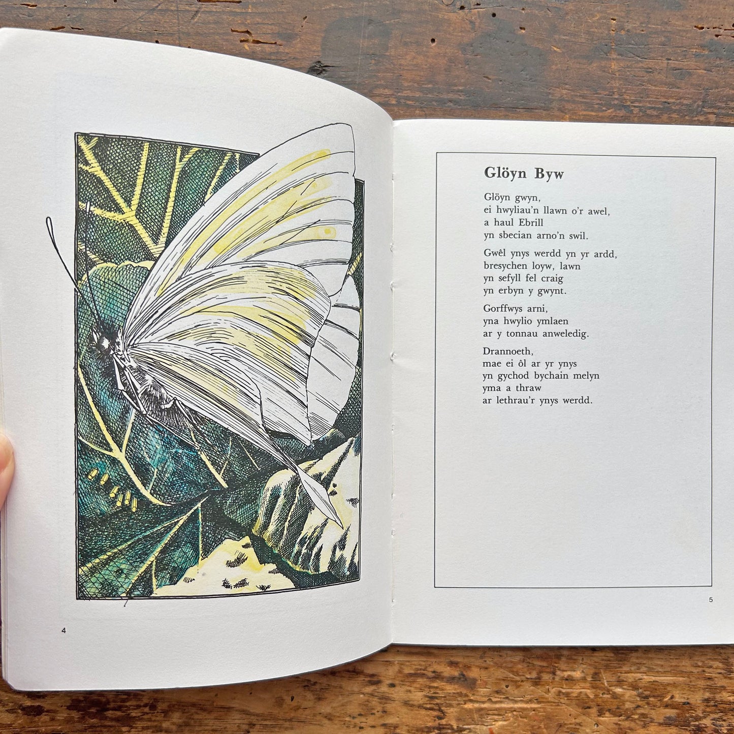 Cylchoedd - John Hywyn - Poetry 1980 (Preloved)