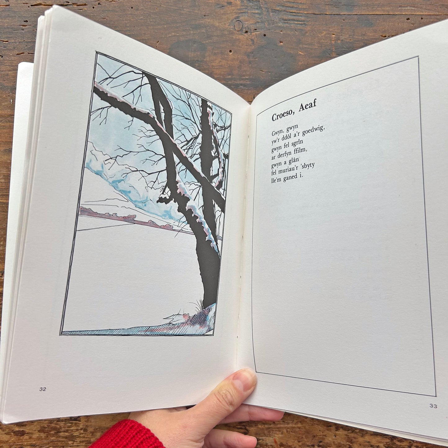 Cylchoedd - John Hywyn - Poetry 1980 (Preloved)