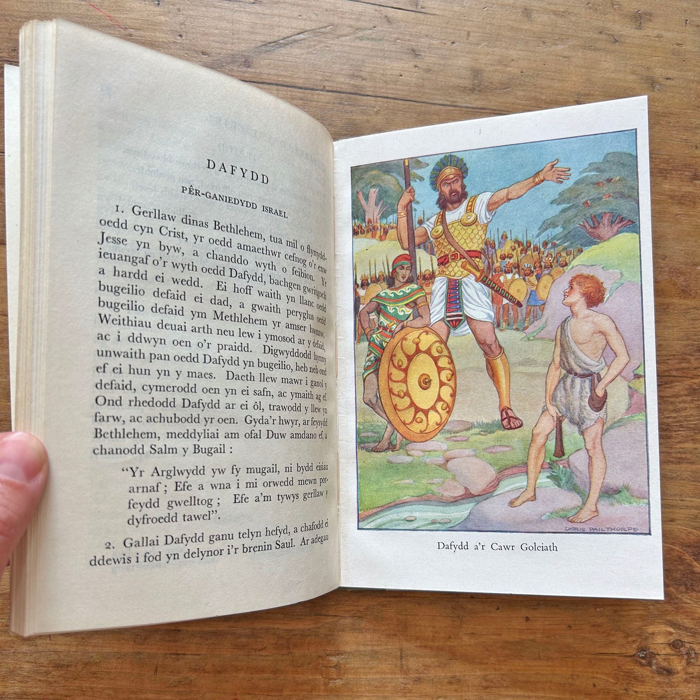 Cymeriadau'r Beibl - Bible Characters 1957 (Preloved)