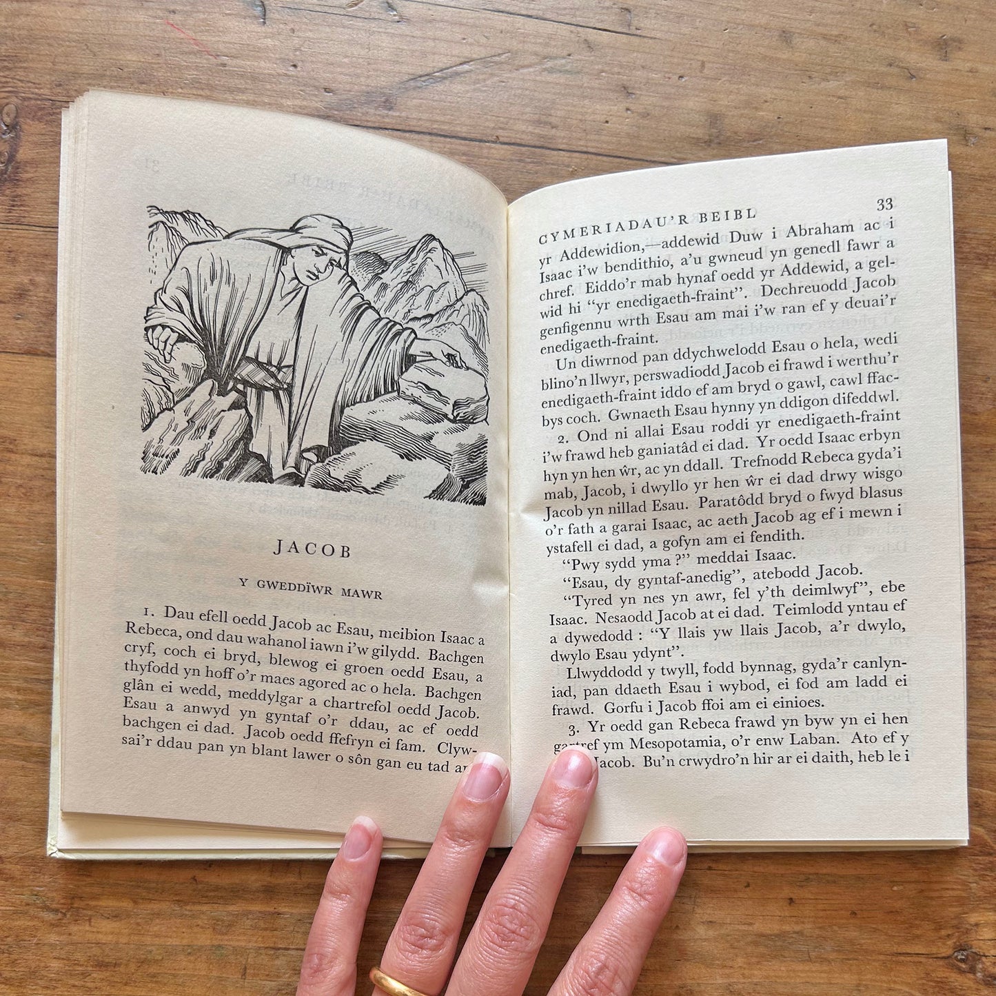 Cymeriadau'r Beibl - Bible Characters 1957 (Preloved)