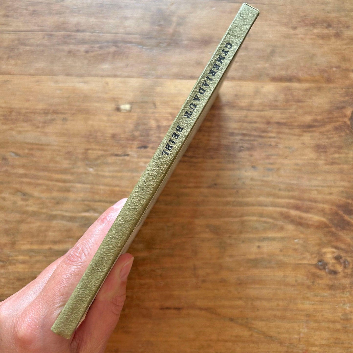 Cymeriadau'r Beibl - Bible Characters 1957 (Preloved)