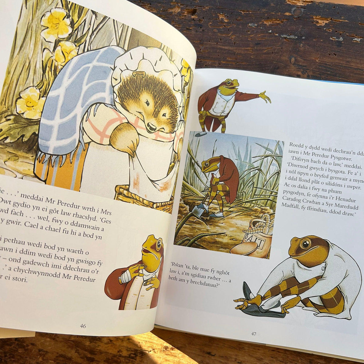 Cyn Mynd i Gysgu - Beatrix Potter (Preloved)