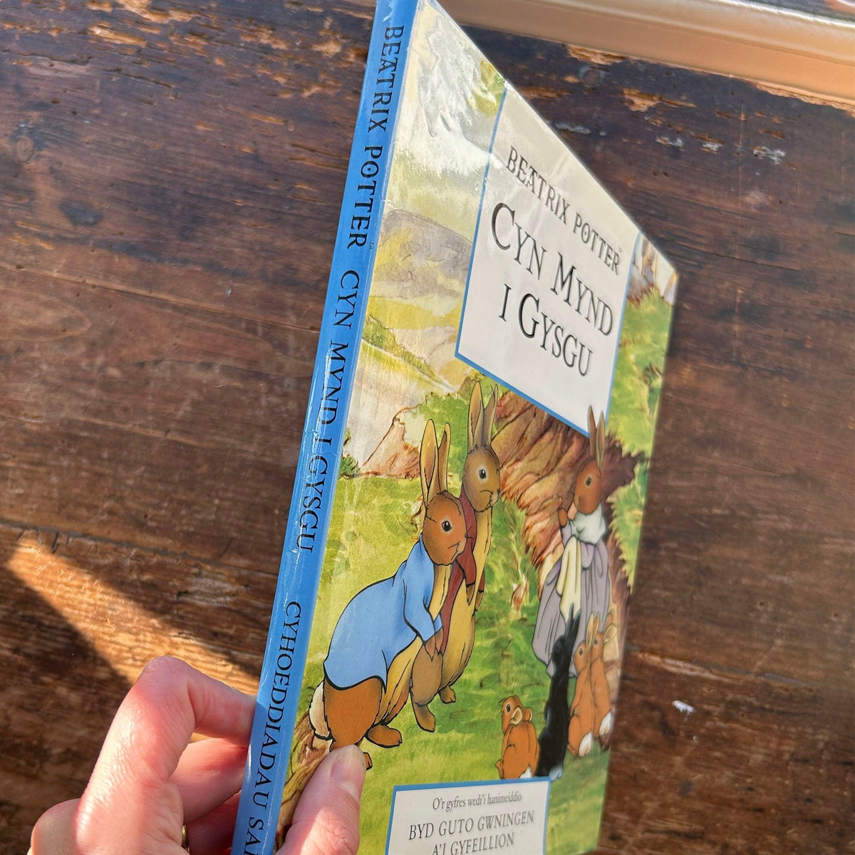Cyn Mynd i Gysgu - Beatrix Potter (Preloved)