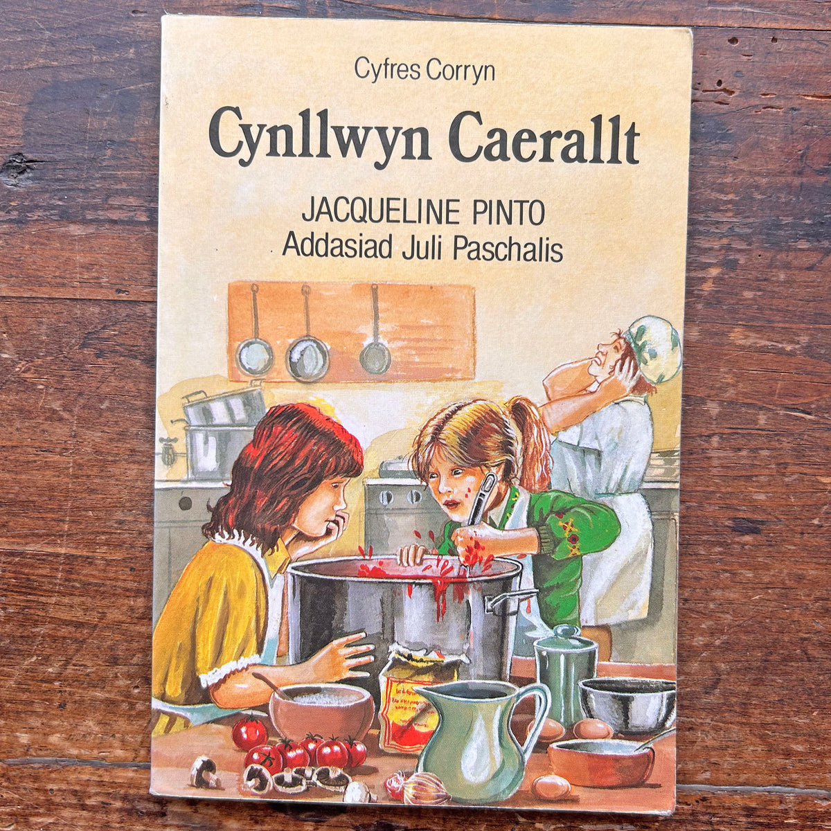 Cynllwyn Caerallt - Jacqueline Pinto (Preloved)